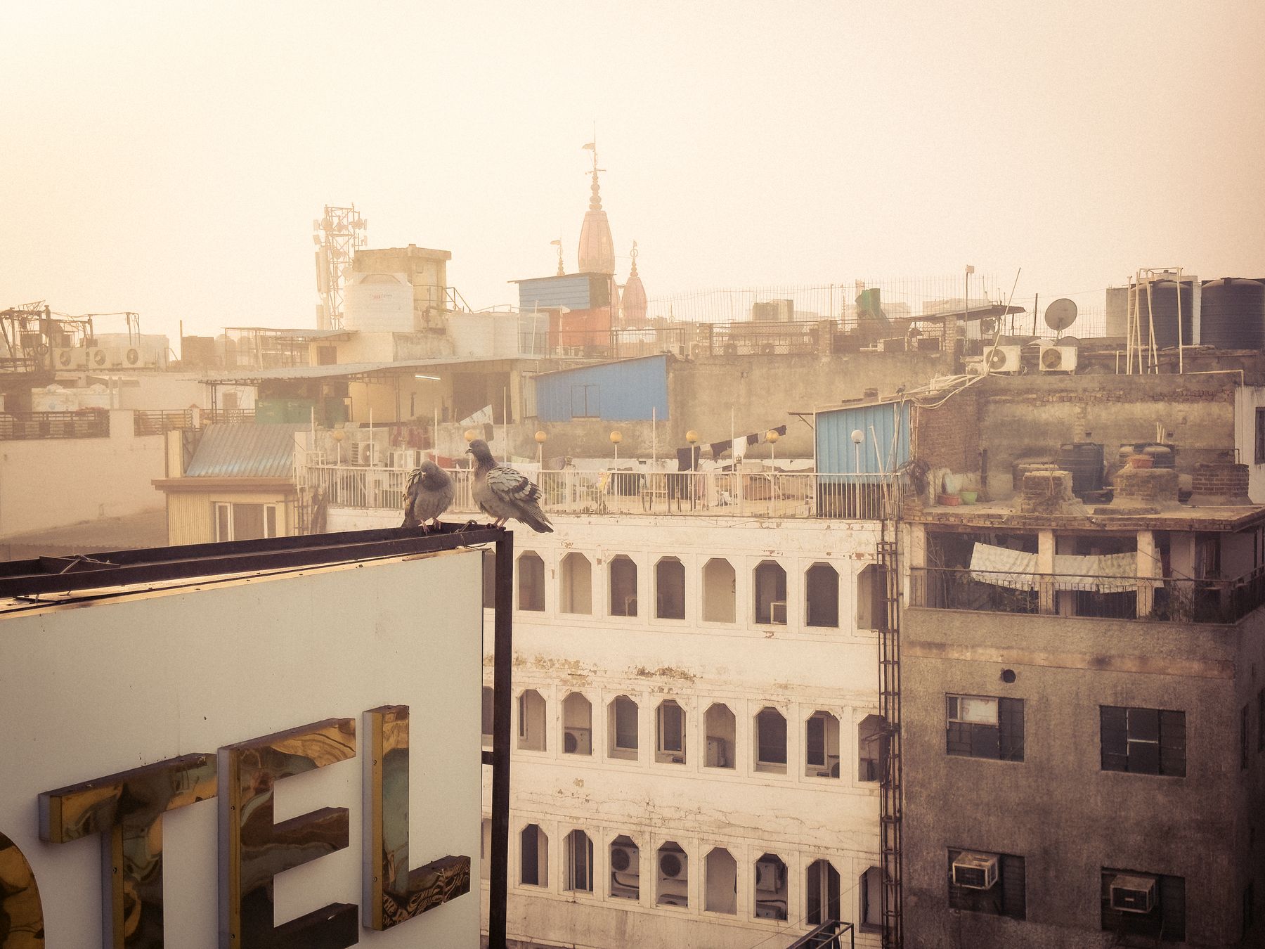 Pigeons On Hotel Sign And Urban Rooftops